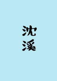 沈溪乐园路免费阅读