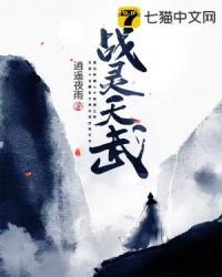 战灵天舞搭配建议